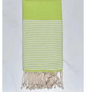 FOUTA NID D'ABEILLE Vert malachite rayée blanc 